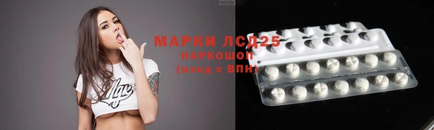 стафф Абинск