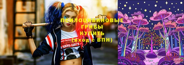 стафф Абинск