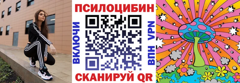 Псилоцибиновые грибы Psilocybine cubensis  даркнет сайт  Алейск 